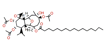 Klymollin G